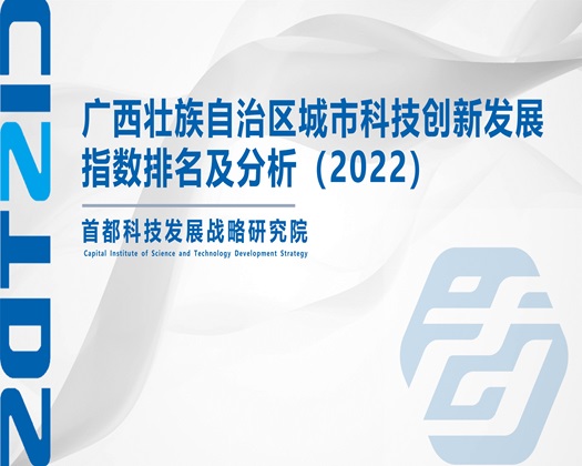 逼插嗯啊啊啊操逼夹视频【成果发布】广西壮族自治区城市科技创新发展指数排名及分析（2022）